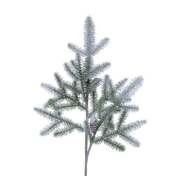 Frosted Balsam Fir Branch