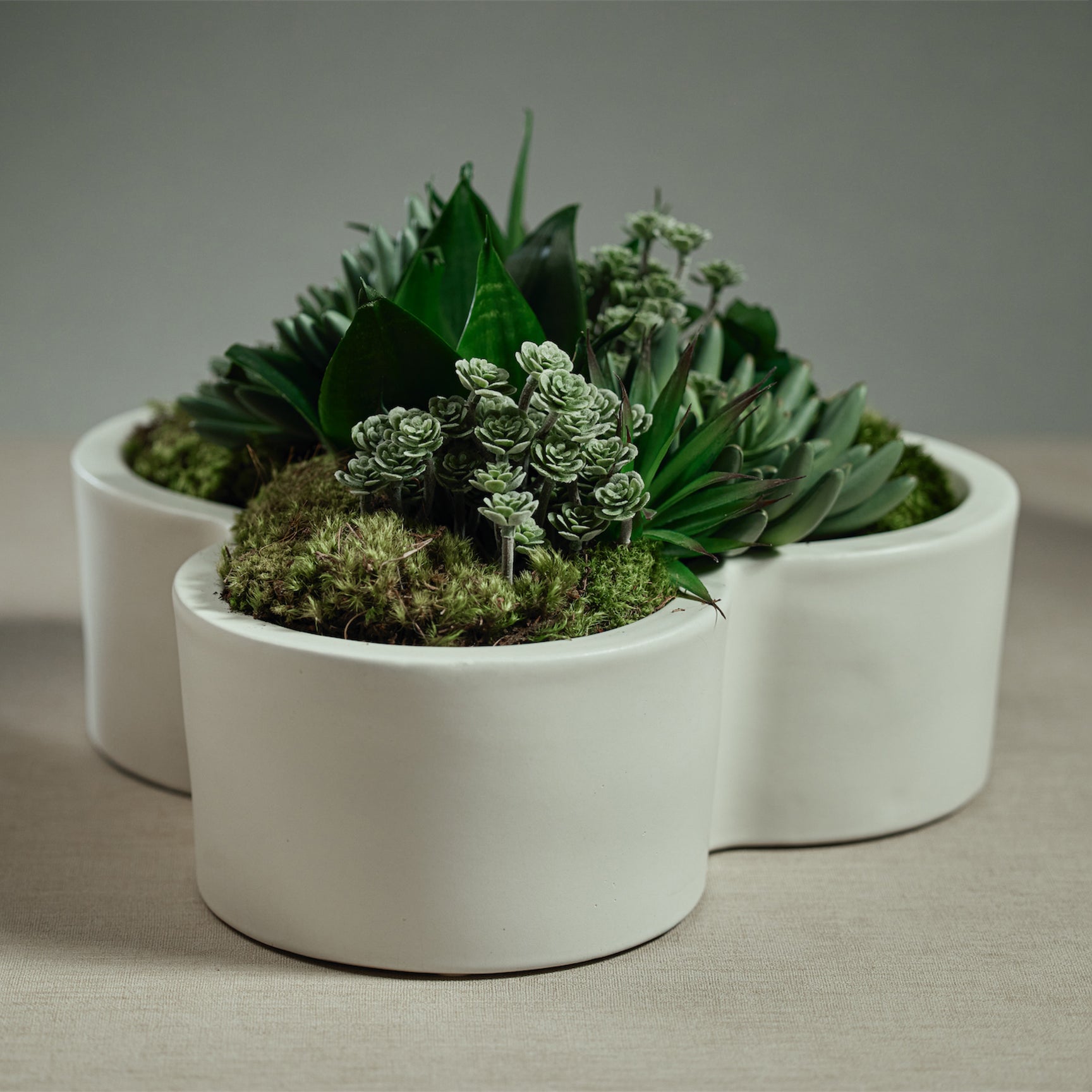 Earthenware Flower Shape Planter Home Decor Zodax   