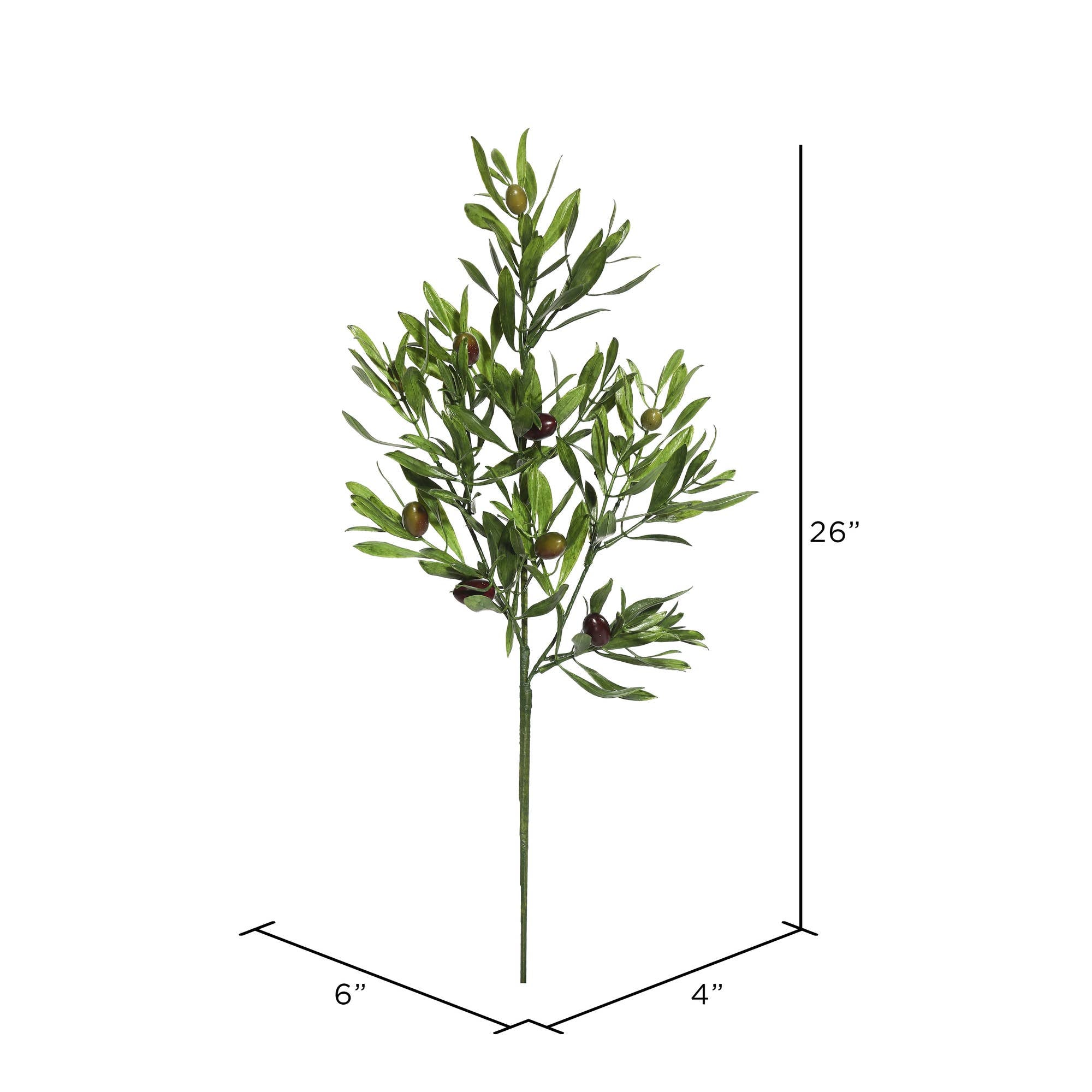 26" Green Olive Leaf Spray 3/pk: Green