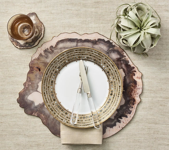 Petrified Wood Drink Coasters