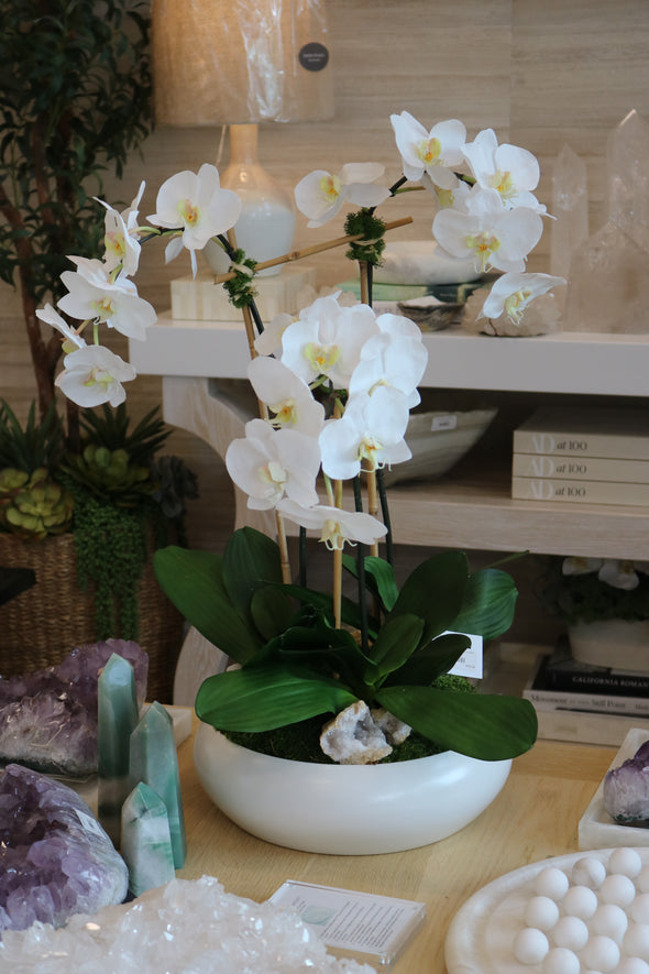 Signature Three Orchids in Simply Low Bowl