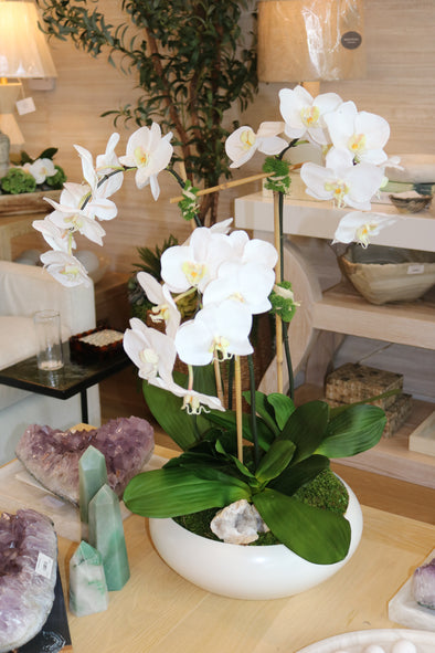 Signature Three Orchids in Simply Low Bowl