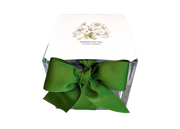 Paperwhites Winter Garden