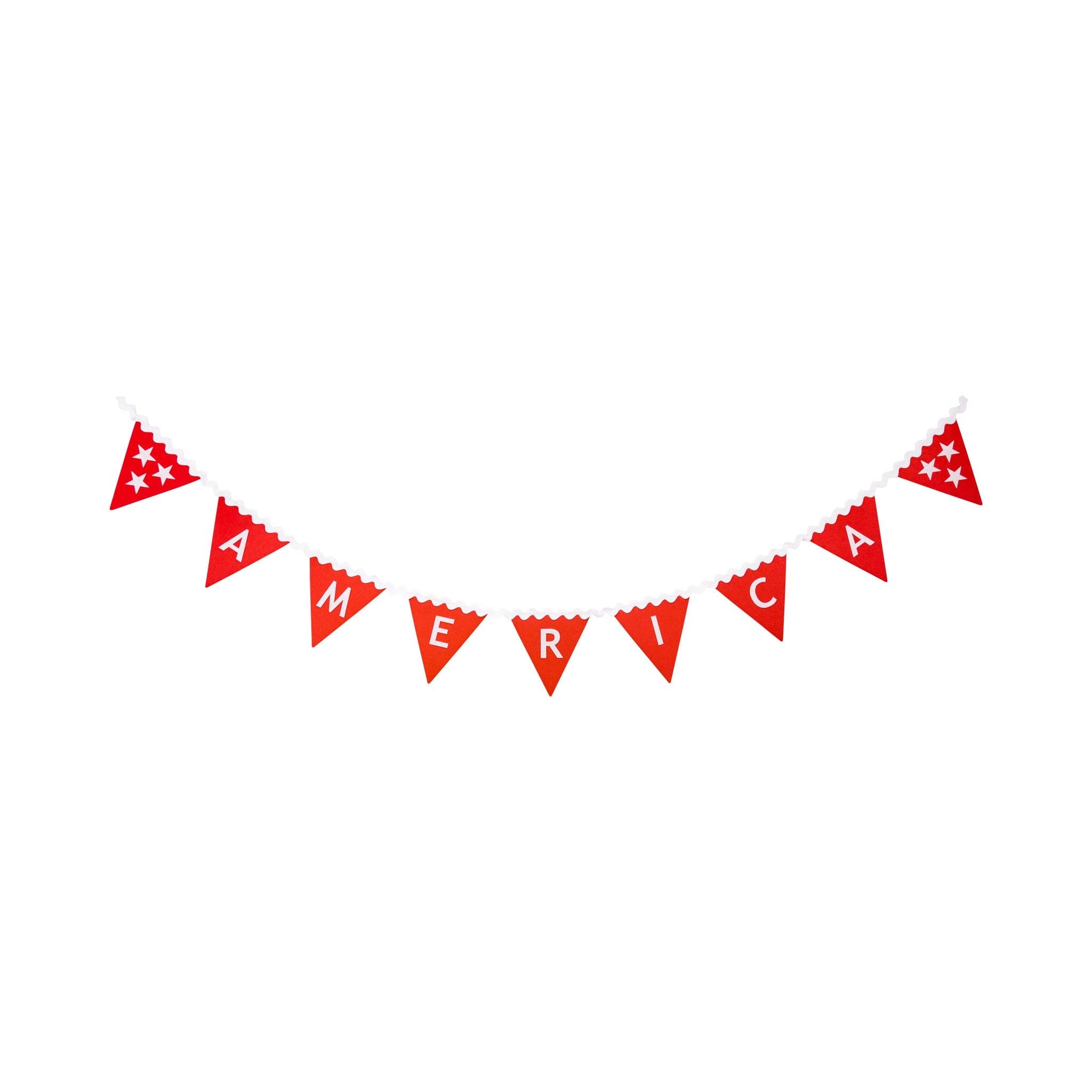 America Felt Pennant Banner