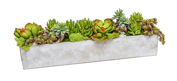 Cement Planter with Succulents