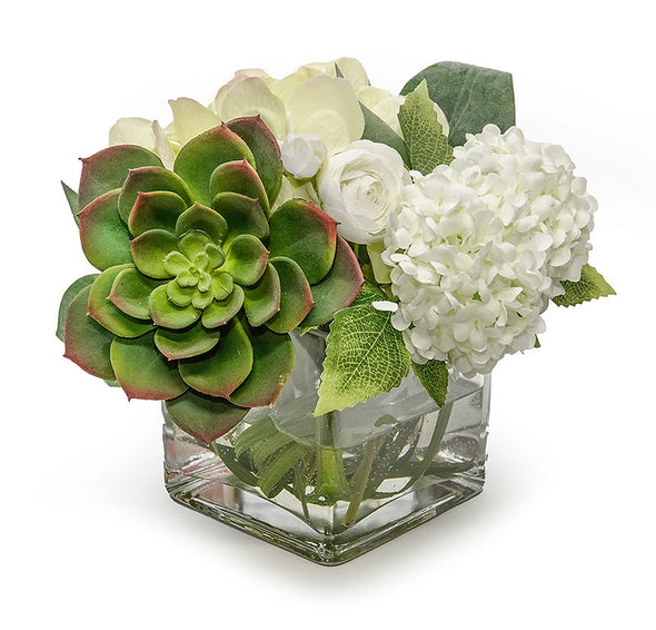 Hydrangea, Echeveria, & Ranunculus in 4" Cube