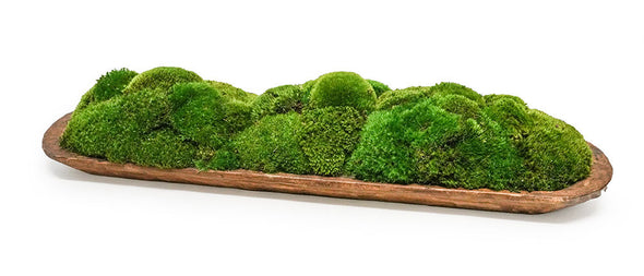 Large Moss in Wood Tray Florals/Branches/Greenery Ivy Guild   