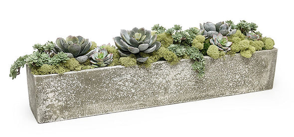 Stoneware Planter with Succulents