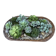 Dough Bowl Succulents