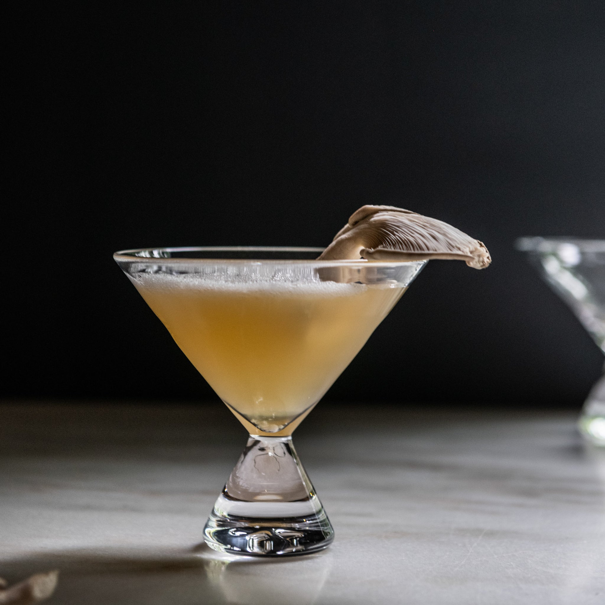 Westport Stemless Martini Set