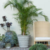 Gerard Outdoor Planter Home Decor Made Goods   