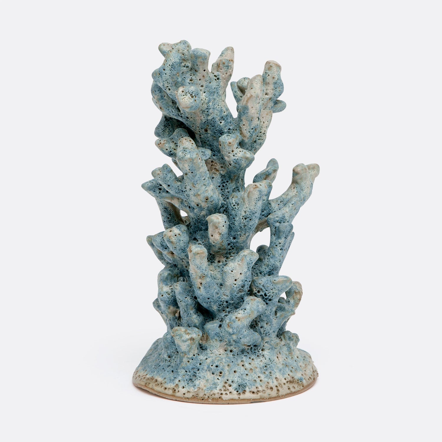 Niel Coral Sculpture