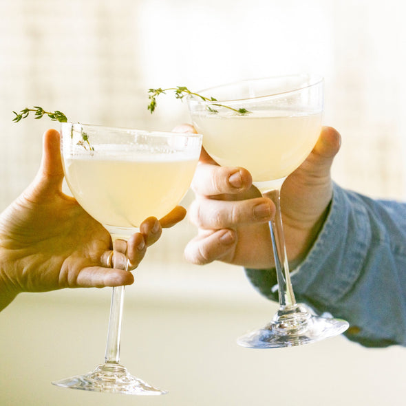 Vintner Nick & Nora Glass Set