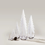 Snowy Branches Evergreen Tree