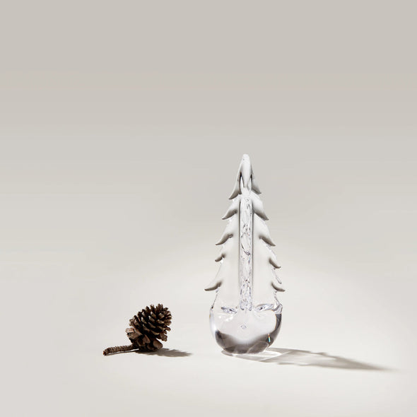 Vermont Evergreen Tree