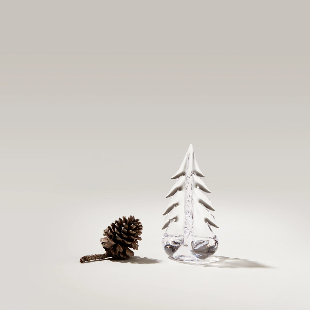 Vermont Evergreen Tree