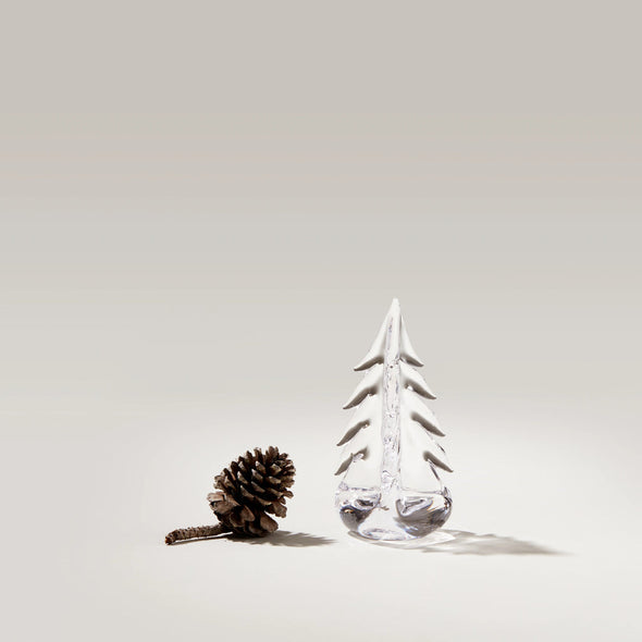 Vermont Evergreen Tree