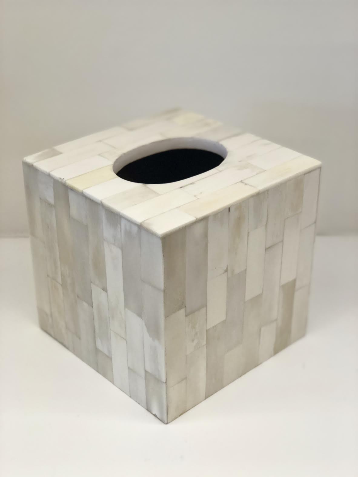 Bone Tissue Box Bath A. Sanoma   