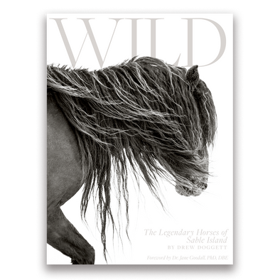 Wild: The Legendary Horses of Sable Island Books Drew Doggett Photography   
