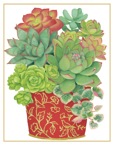 Succulents In Cachepot Christmas Card