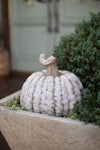 Concrete Pumpkin Fall/Thanksgiving/Halloween Decor Kalalou   