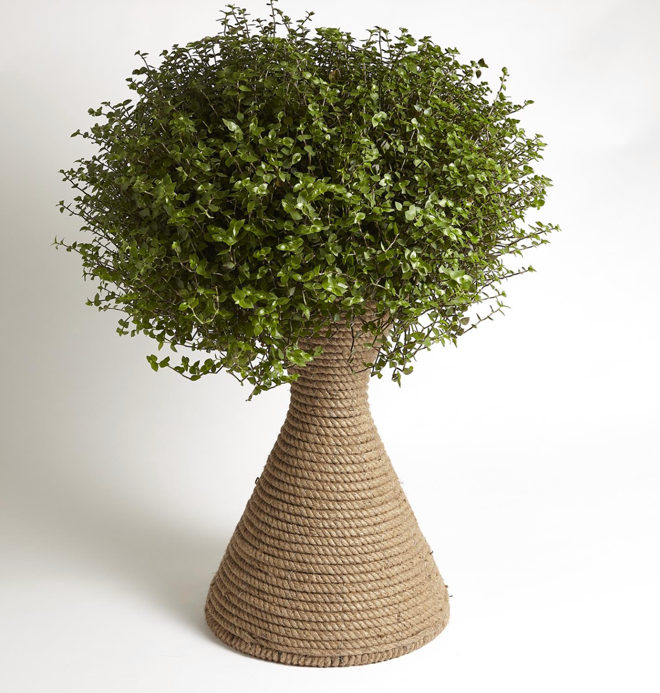 Chatou Planter Home Decor Global Views   