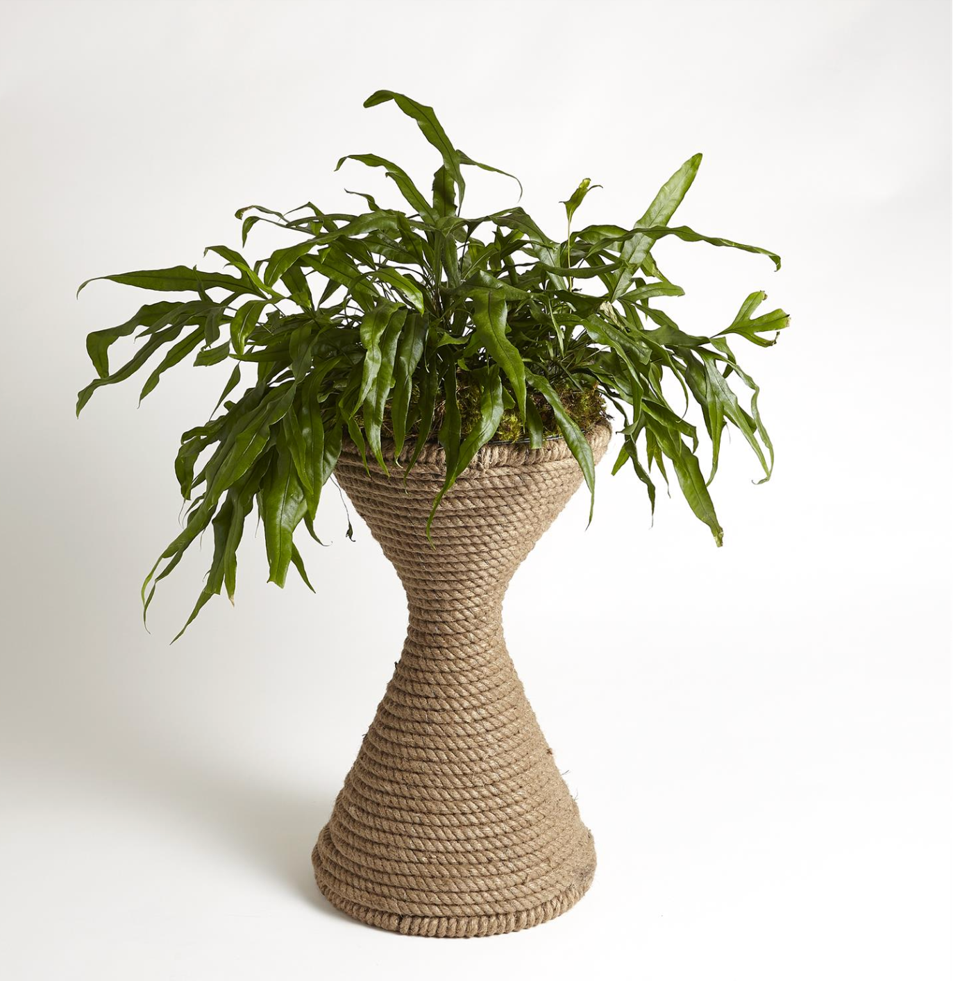 Chatou Planter Home Decor Global Views   