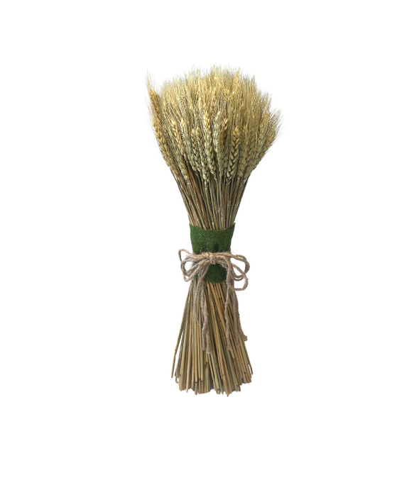 Gathered Wheat Sheath 19”