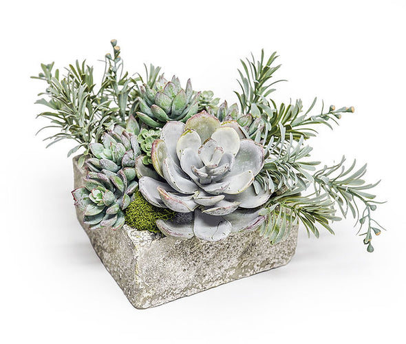 Succulents/ Foliage In Low Faux Stone