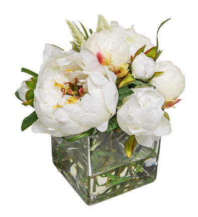 White Peony Arrangement in Glass Cube