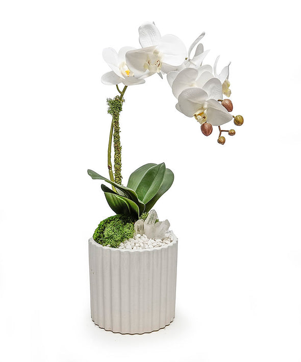 White Fluted Pot With Orchid/ Crystal Points